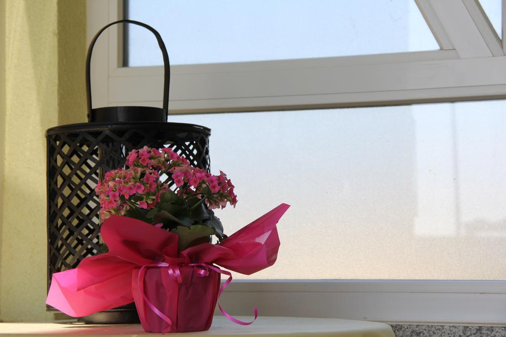 Apartments Villa Lili Umag Luaran gambar